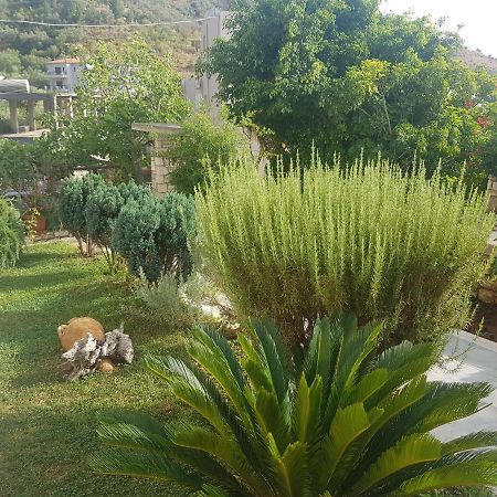 Spyridoula'S Guest House Himare Exterior foto